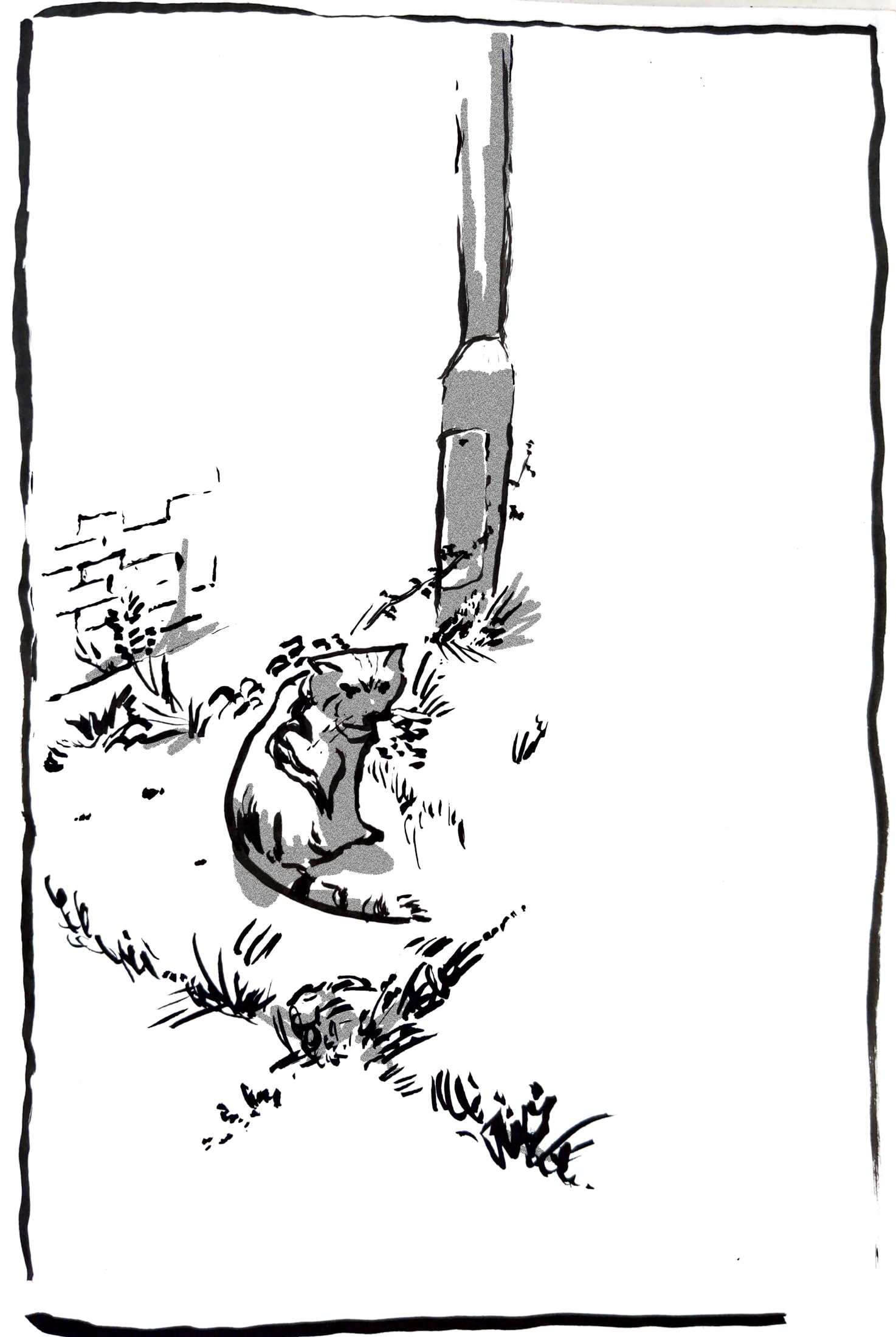 Ink drawing of a small stripy cat sitting with its head looking towards the viewer with its back turned to them. It is sitting on a concrete ground with plants growing out between the slabs. In the background there is a lamppost and the hint of a brick wall, surrounded by plants.